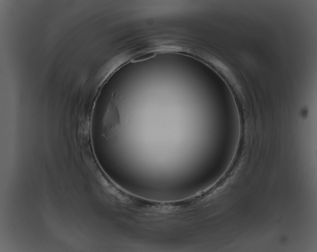 X0000093441193200710191034