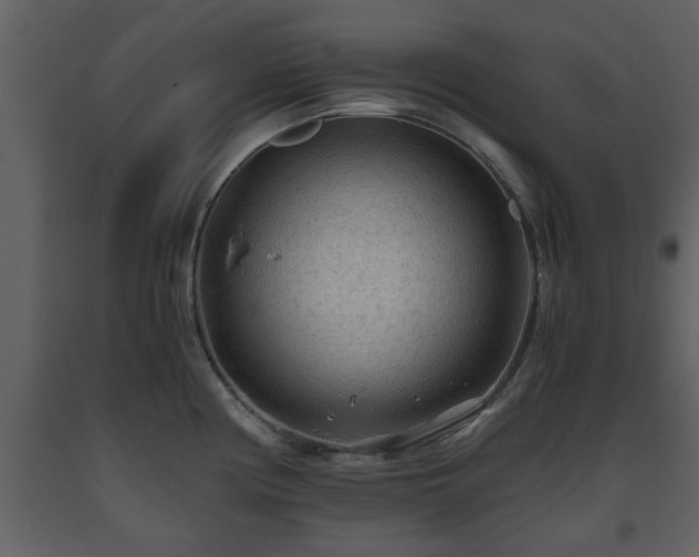 X0000093441194200710191034