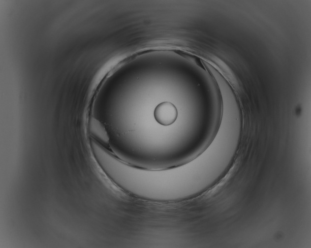 X0000093441196200710191034