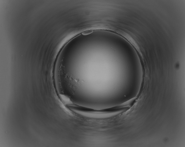 X0000093441197200710191034