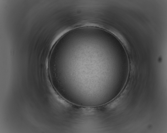 X0000093441198200710191034