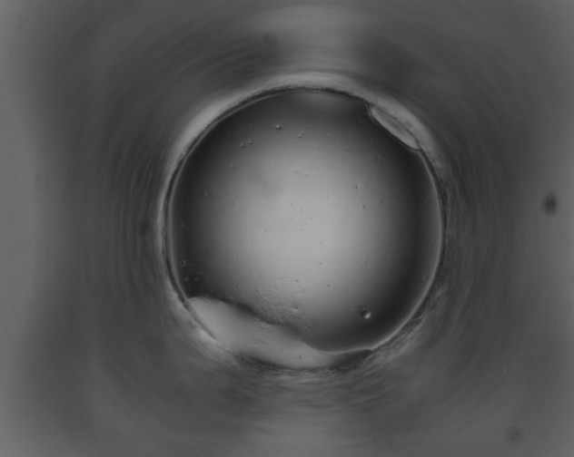 X0000093441199200710191034