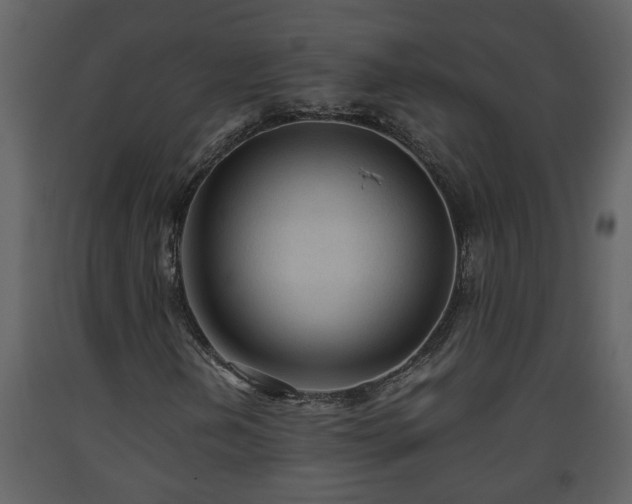 X0000093441202200710191033