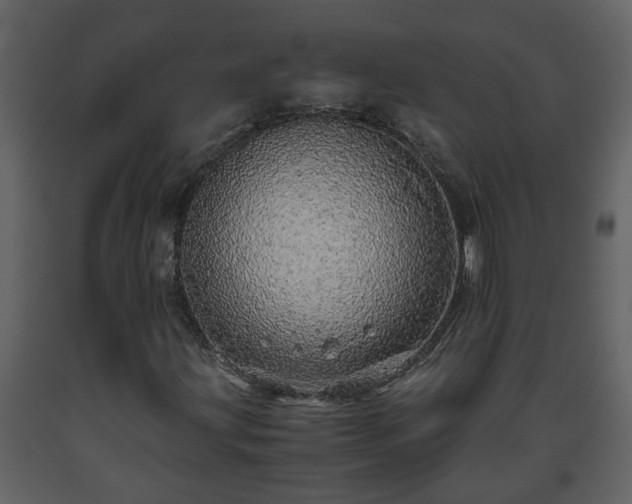 X0000093441203200710191033