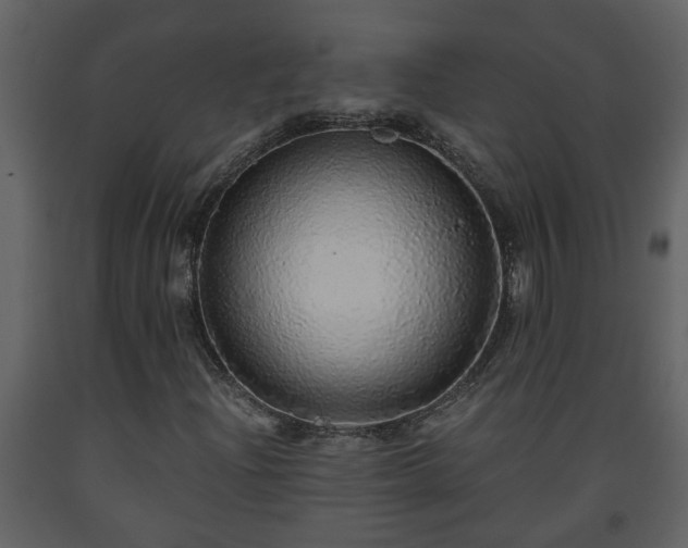 X0000093441204200710191033
