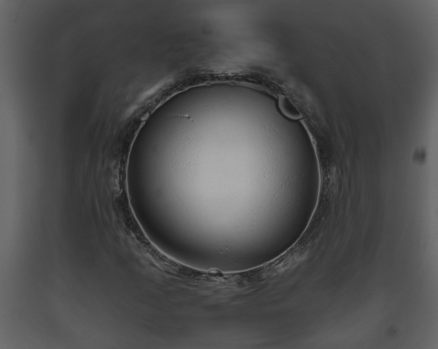 X0000093441205200710191033
