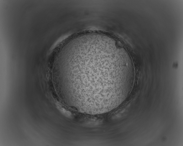 X0000093441207200710191033