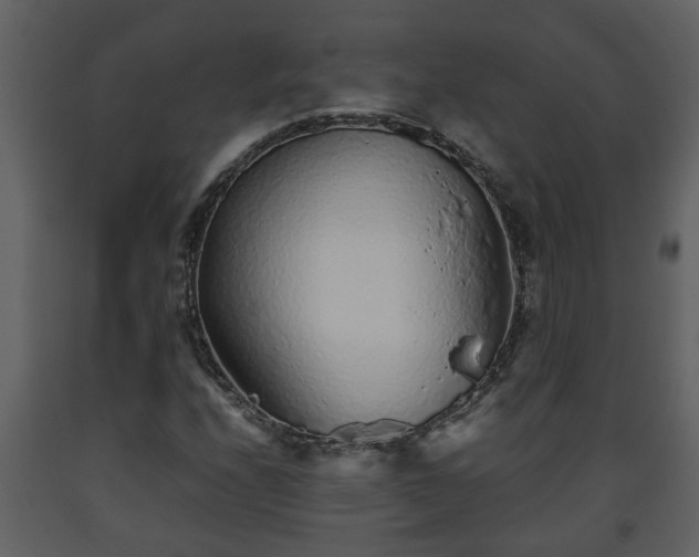 X0000093441208200710191033