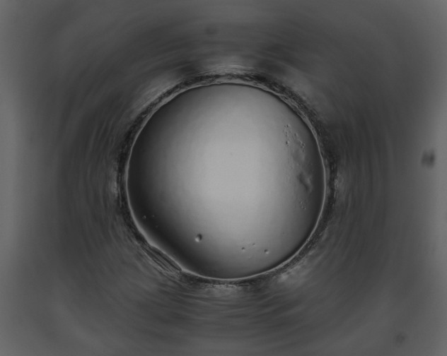 X0000093441209200710191033