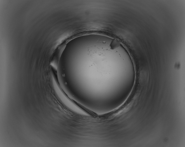 X0000093441210200710191033