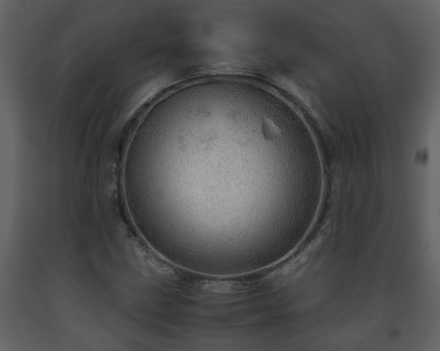 X0000093441211200710191033