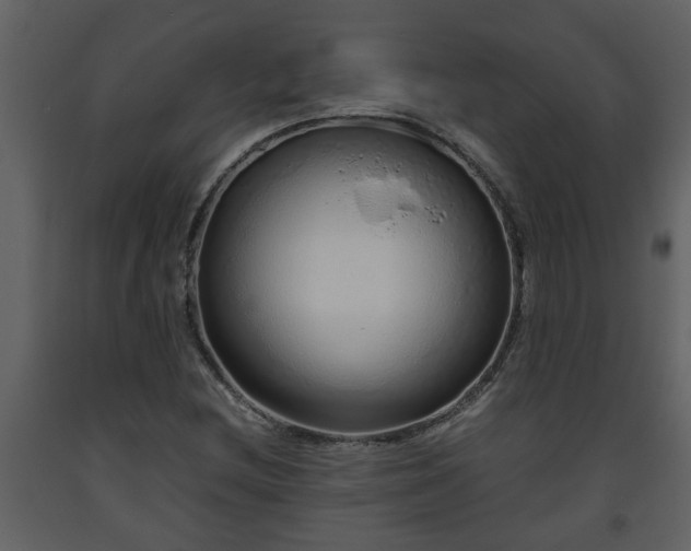 X0000093441212200710191033