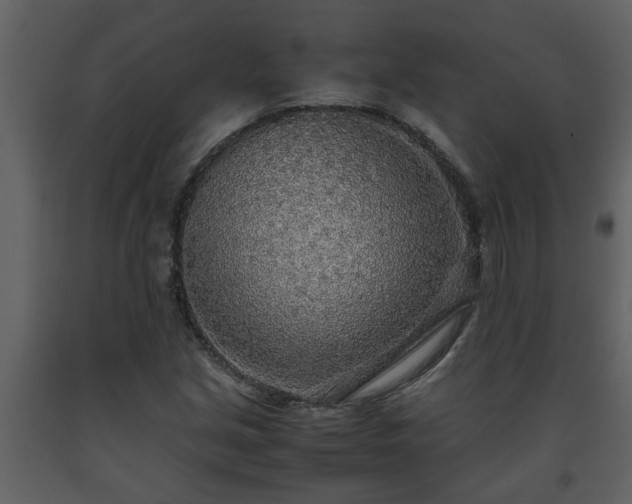 X0000093441213200710191033