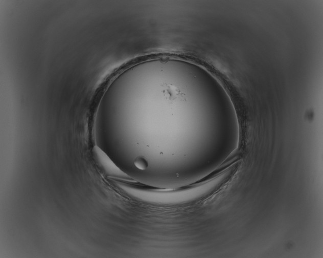 X0000093441214200710191033