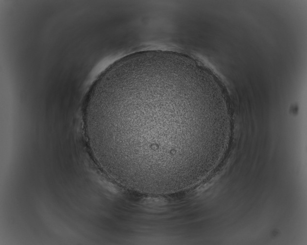 X0000093441215200710191033