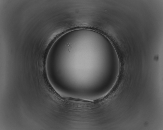 X0000093441218200710191033