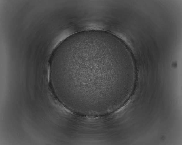 X0000093441219200710191033