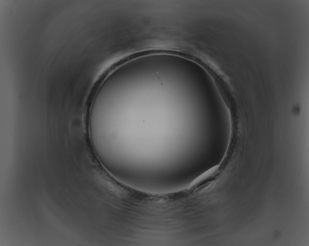 X0000093441222200710191033