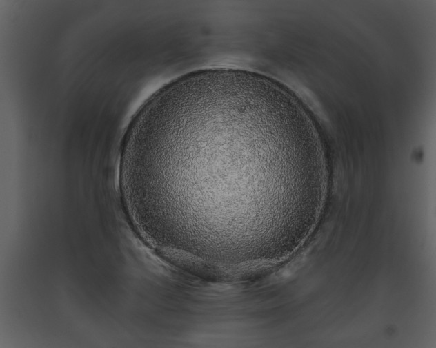 X0000093441224200710191033