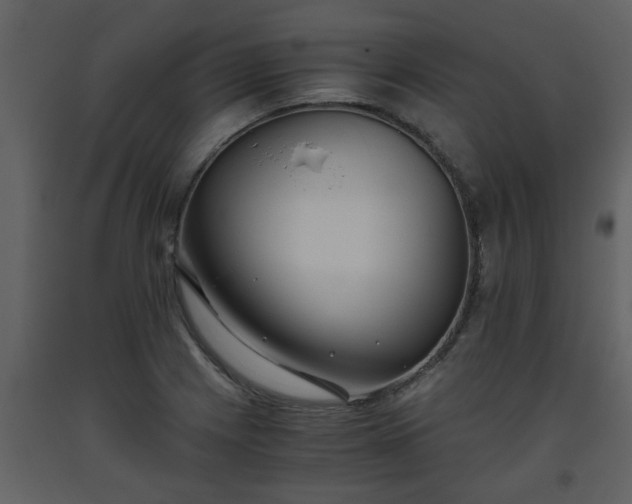 X0000093441225200710191033