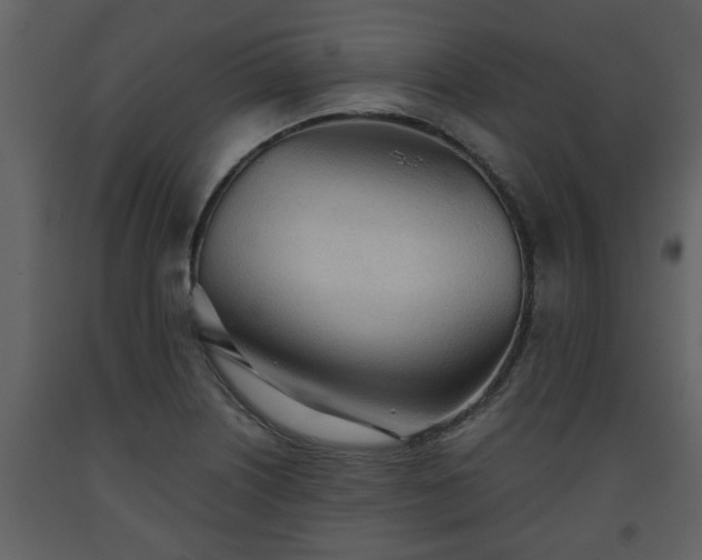 X0000093441226200710191033