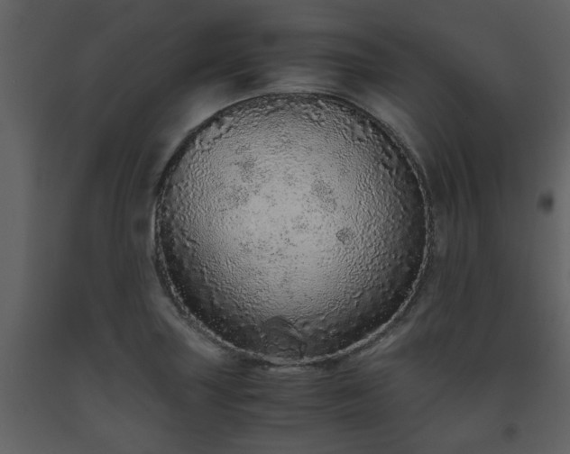 X0000093441227200710191033