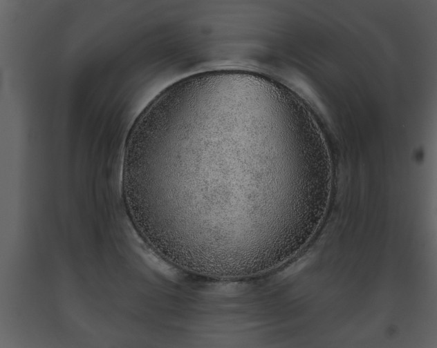 X0000093441228200710191033