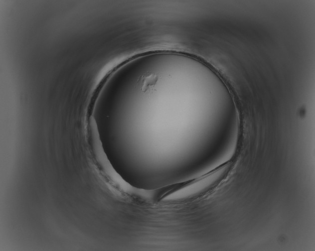X0000093441230200710191033