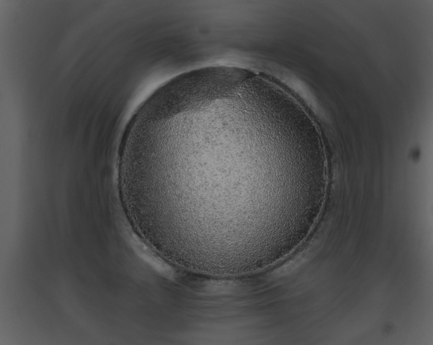 X0000093441232200710191033