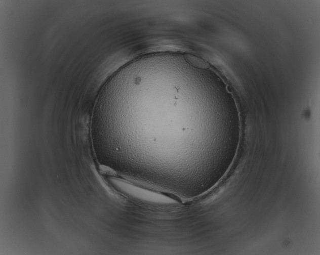 X0000093441233200710191033