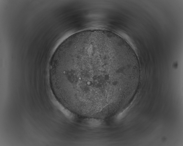 X0000093441235200710191033