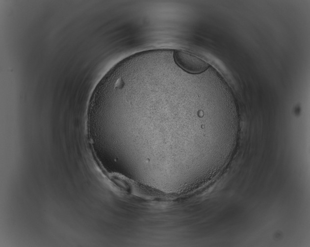 X0000093441236200710191033