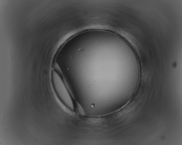 X0000093441237200710191033