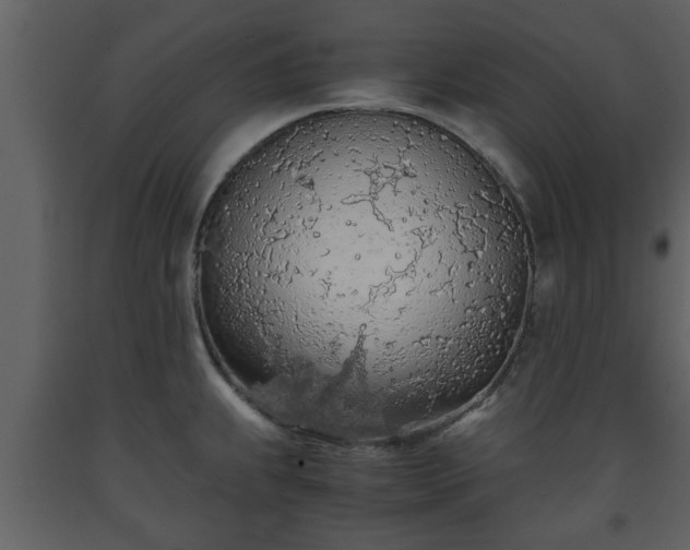 X0000093441239200710191033