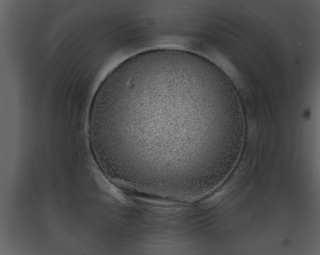 X0000093441240200710191033