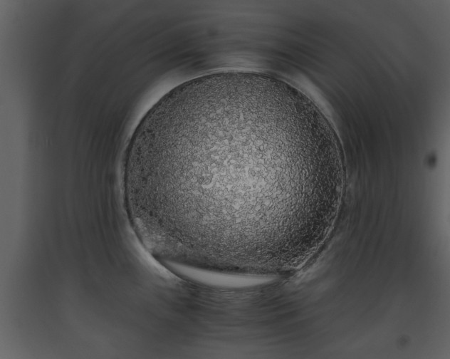 X0000093441243200710191033