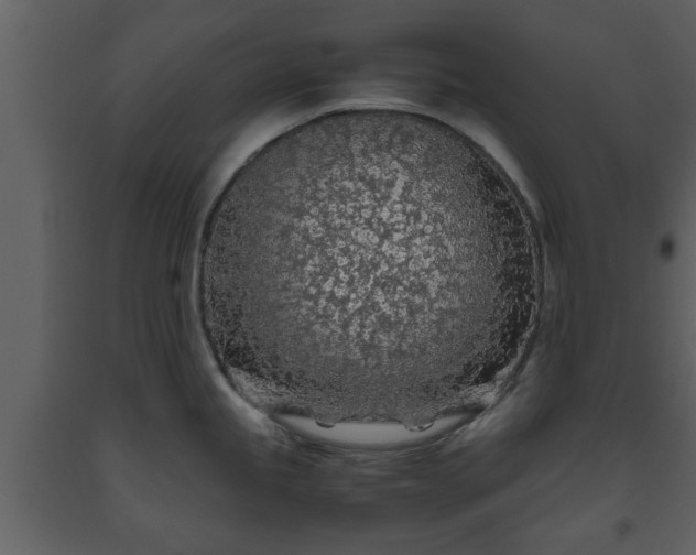 X0000093441245200710191033