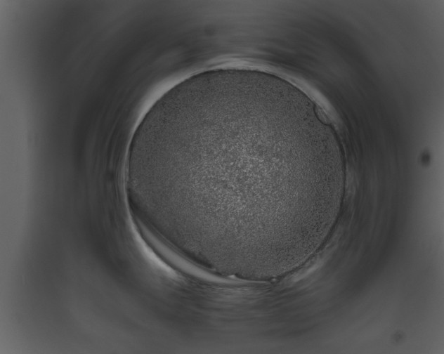 X0000093441247200710191034
