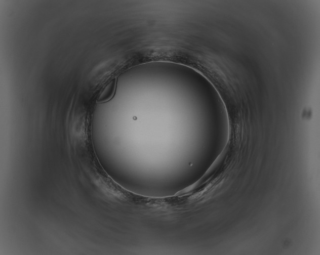 X0000093441250200710191033