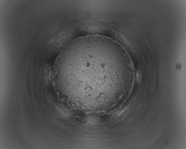 X0000093441251200710191033