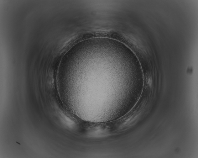 X0000093441252200710191033