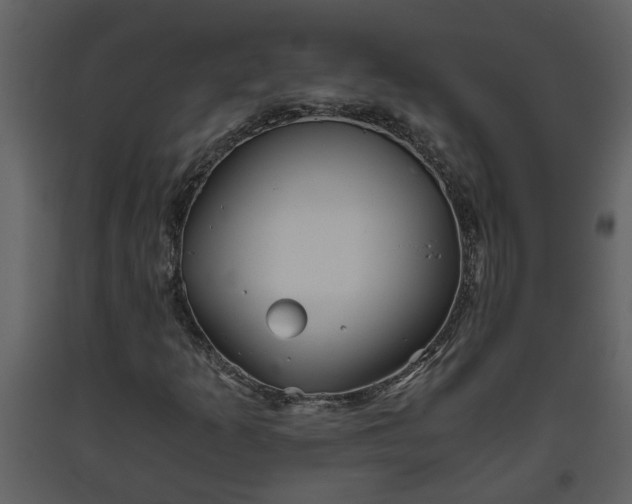 X0000093441253200710191033