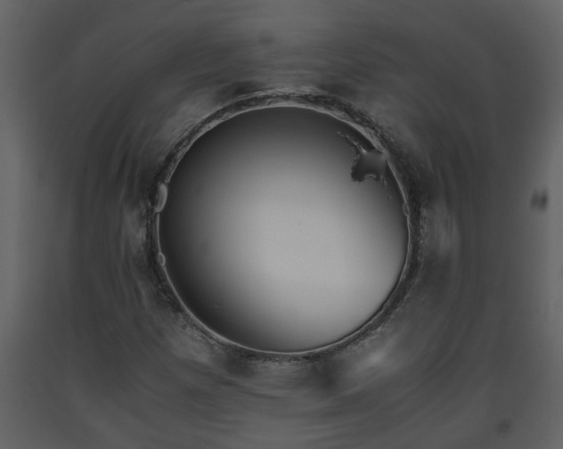 X0000093441257200710191033