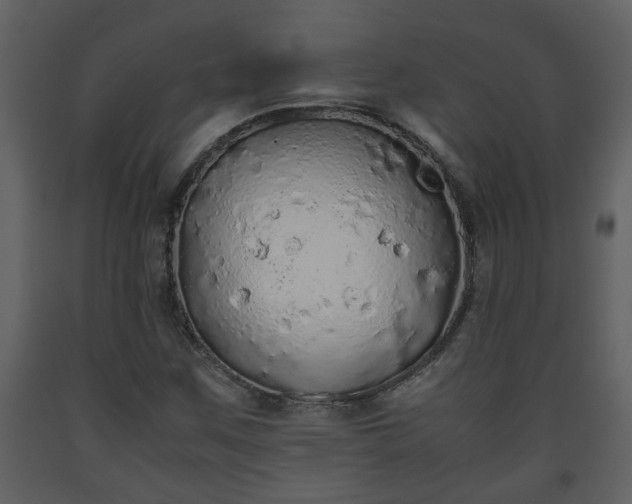 X0000093441259200710191033