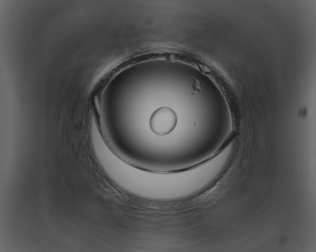 X0000093441261200710191033