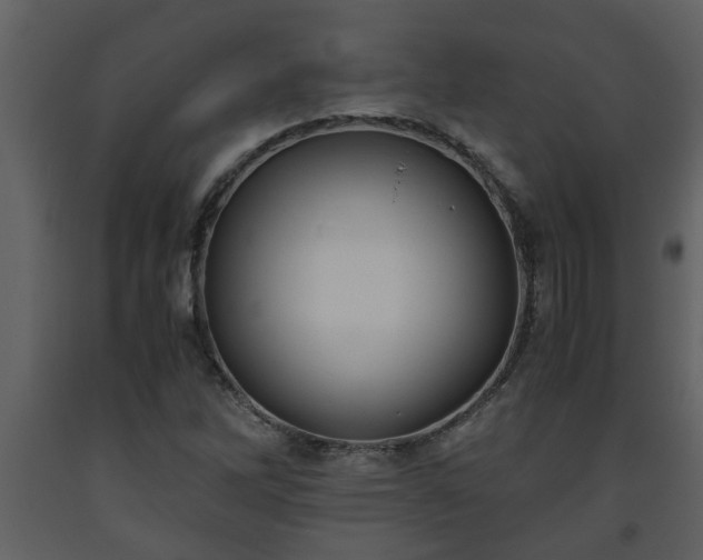 X0000093441262200710191033