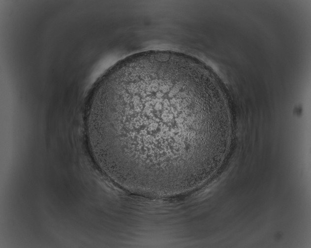 X0000093441263200710191033