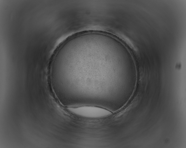 X0000093441264200710191033