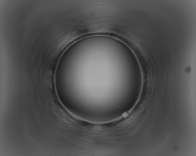 X0000093441265200710191033