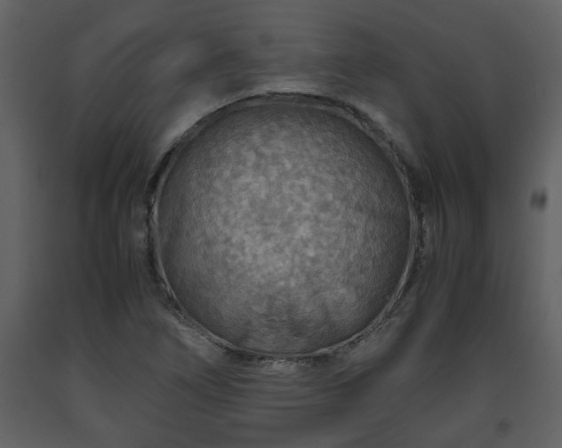X0000093441266200710191033